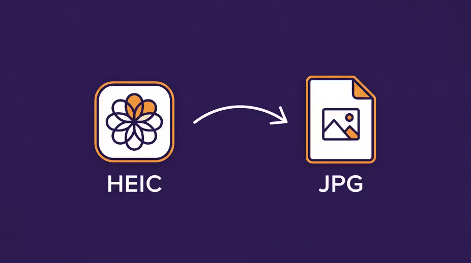 HEIC file converted to JPG format